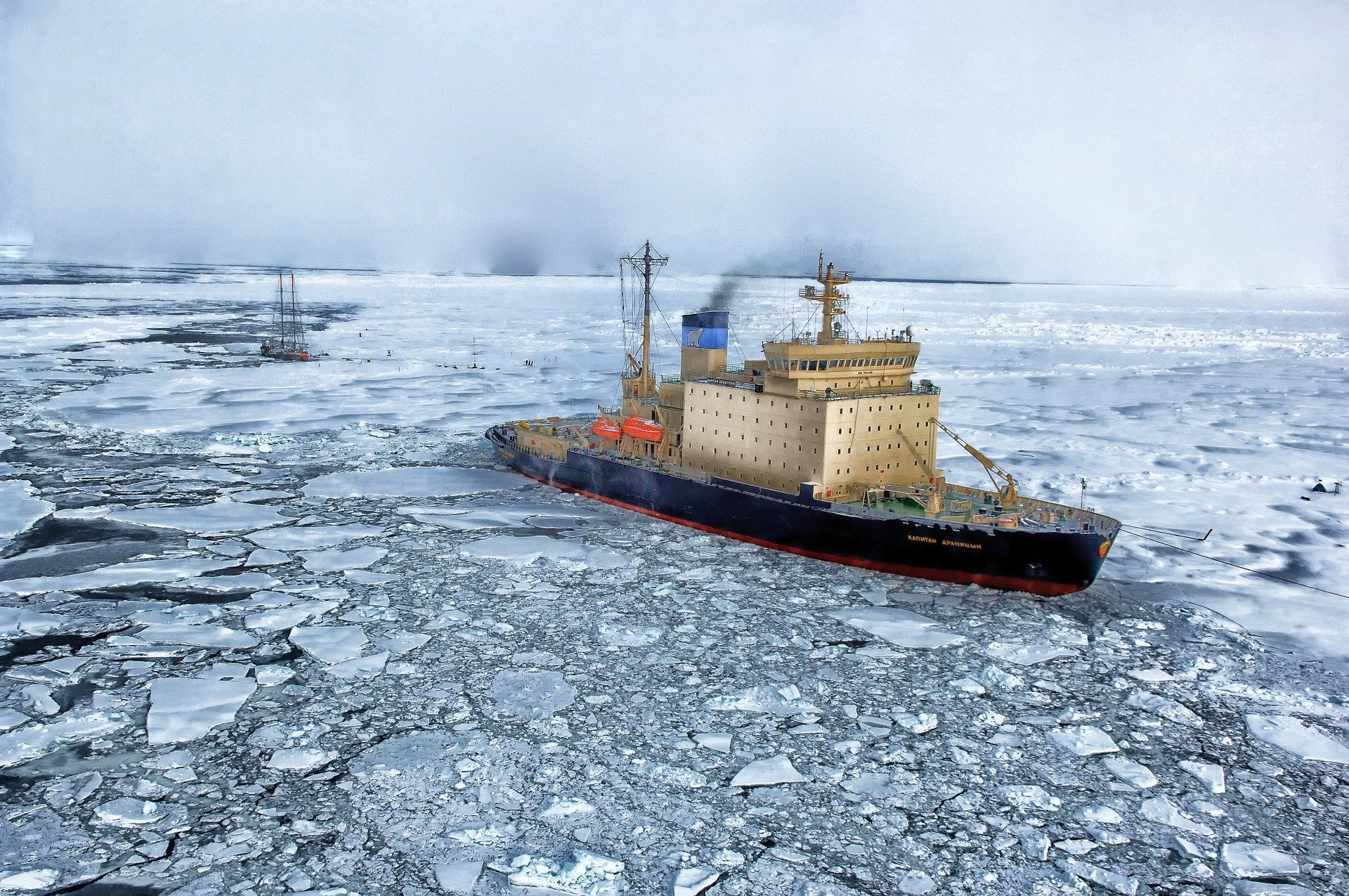 arctic