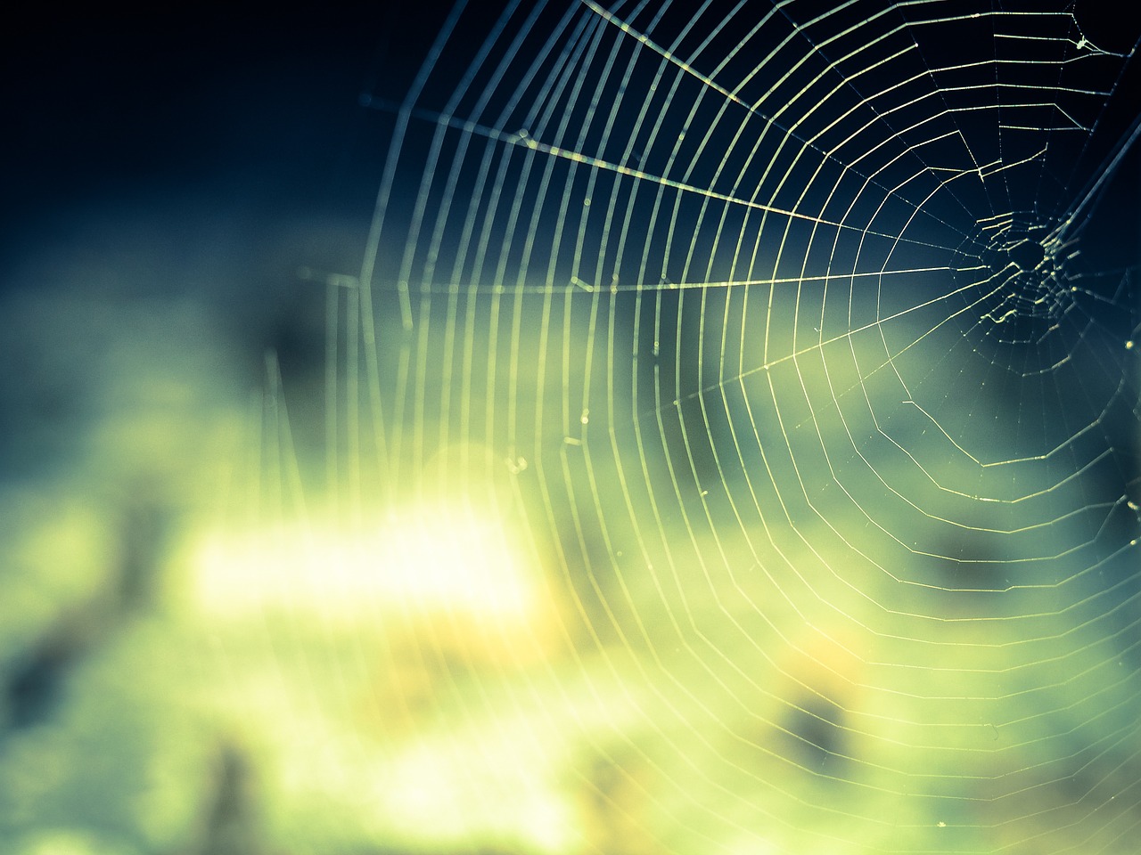 network-1