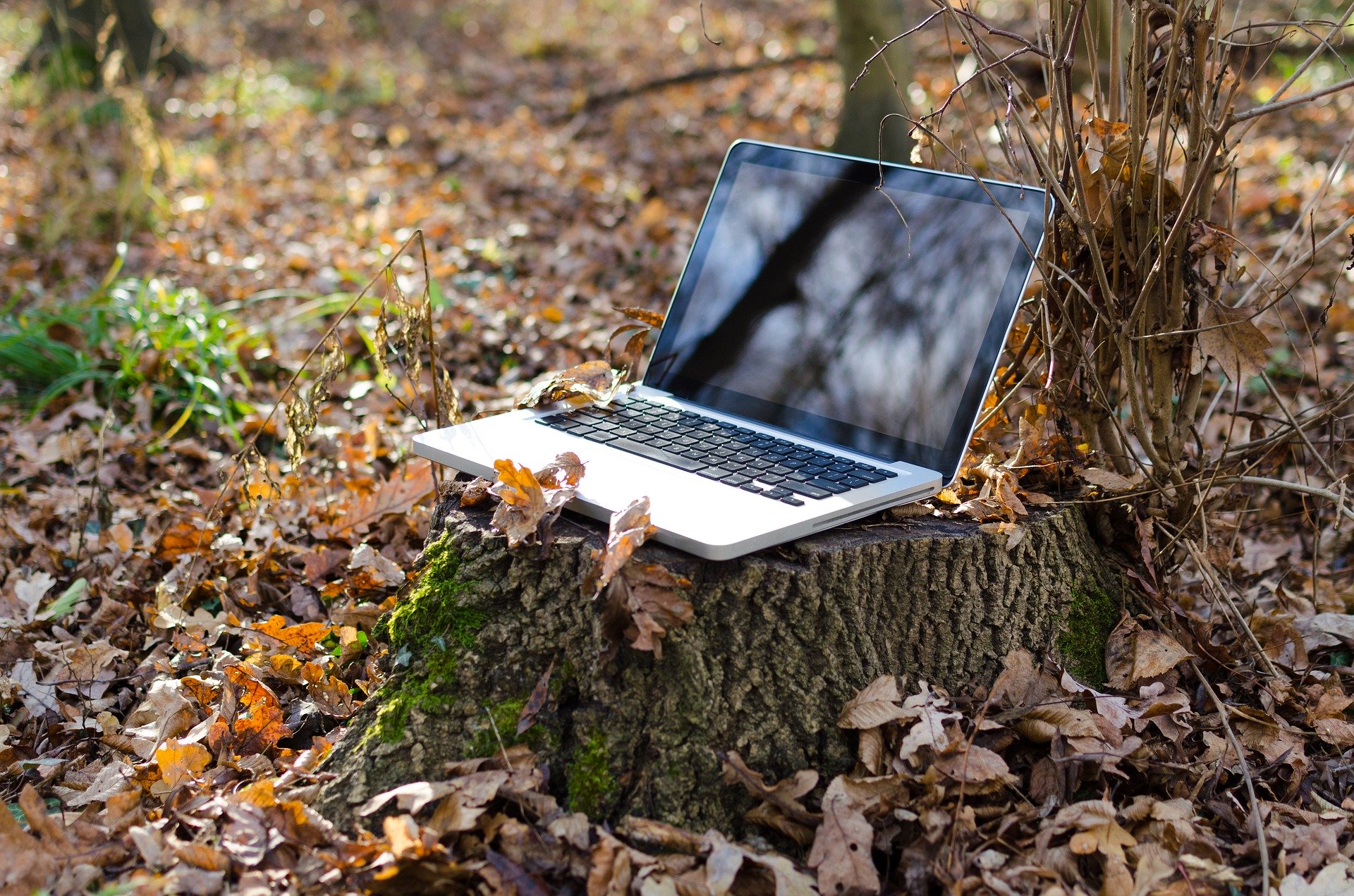 remote work