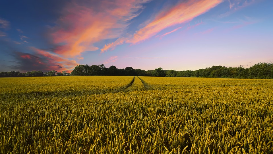 The mobile app MyOperations from John Deere is officially launched in Russia