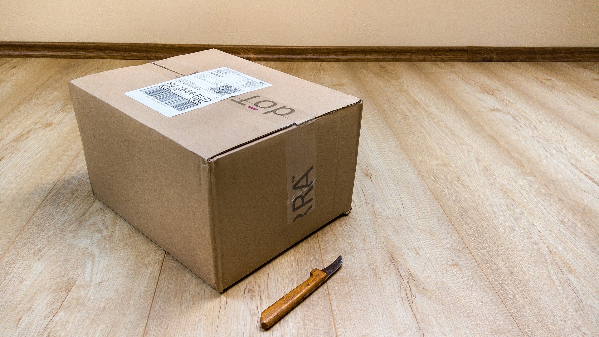 Russian post will make Aliexpress Plus home-package delivery for free